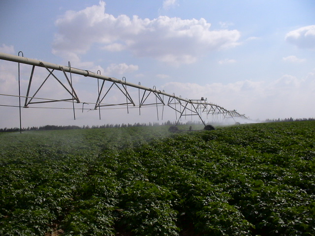 Wadi Natron Farm