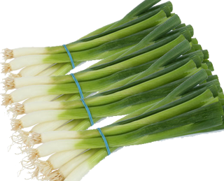 spring onions